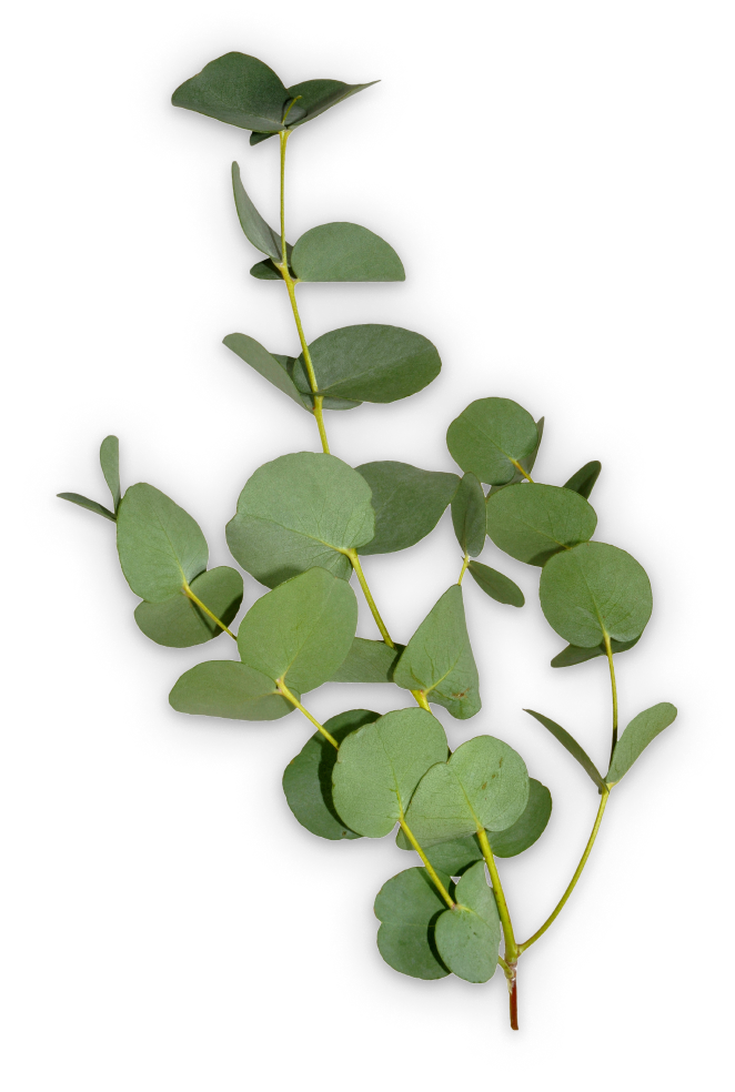 Кухни на заказ СПБ Кухни на заказ СПБ